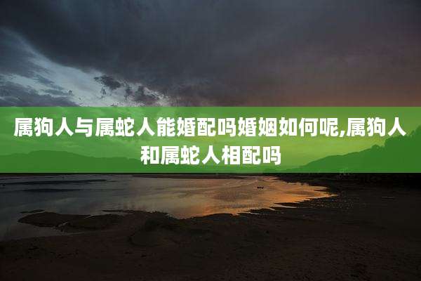 属狗人与属蛇人能婚配吗婚姻如何呢,属狗人和属蛇人相配吗