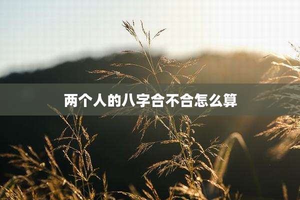 两个人的八字合不合怎么算
