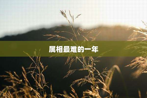 属相最难的一年
