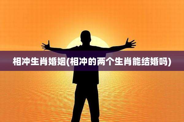 相冲生肖婚姻(相冲的两个生肖能结婚吗)