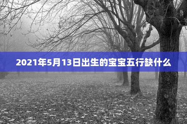 2021年5月13日出生的宝宝五行缺什么