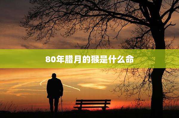 80年腊月的猴是什么命