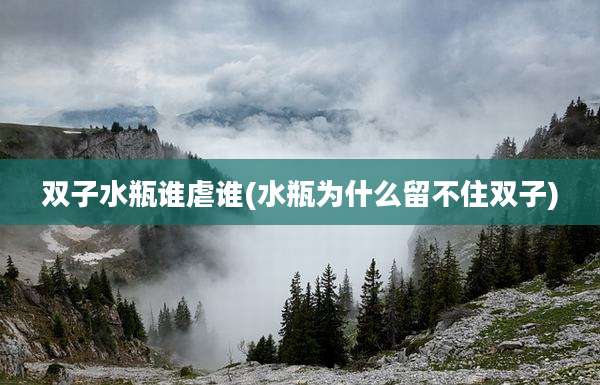 双子水瓶谁虐谁(水瓶为什么留不住双子)