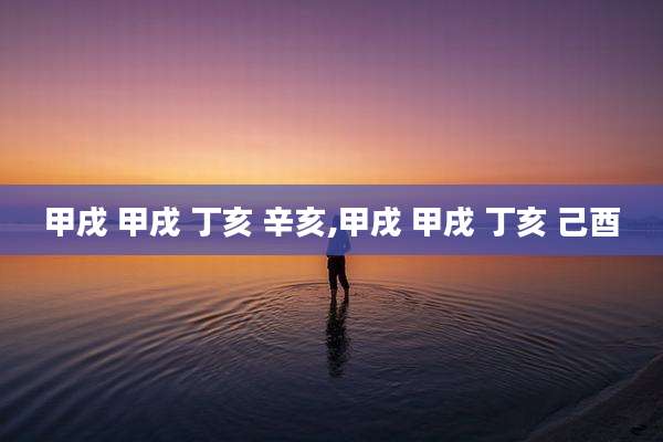 甲戌 甲戌 丁亥 辛亥,甲戌 甲戌 丁亥 己酉