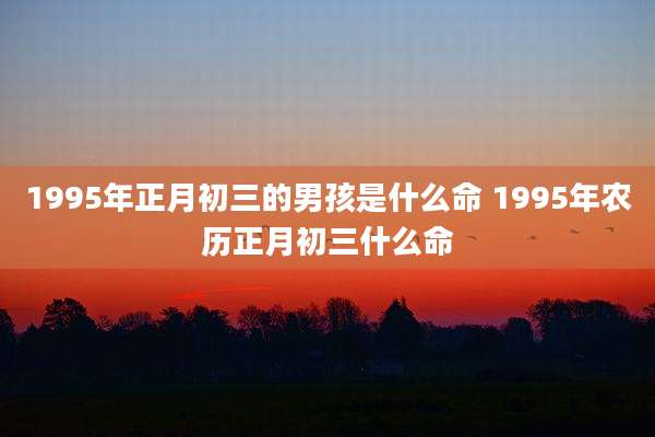 1995年正月初三的男孩是什么命 1995年农历正月初三什么命