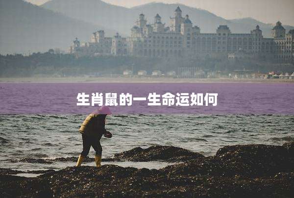 生肖鼠的一生命运如何