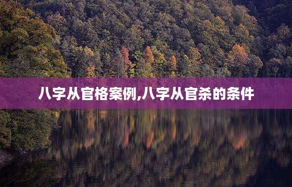 八字从官格案例,八字从官杀的条件