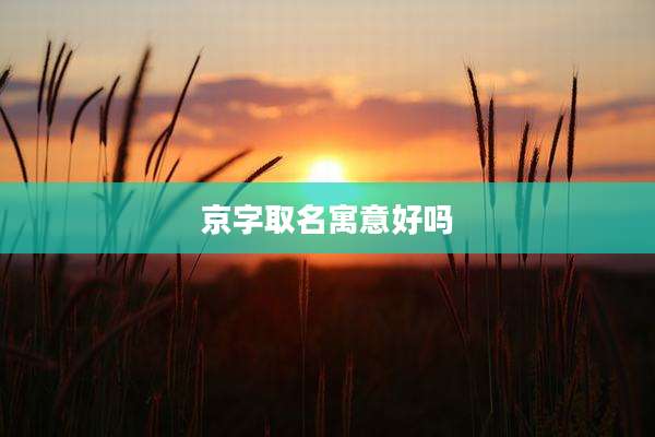 京字取名寓意好吗