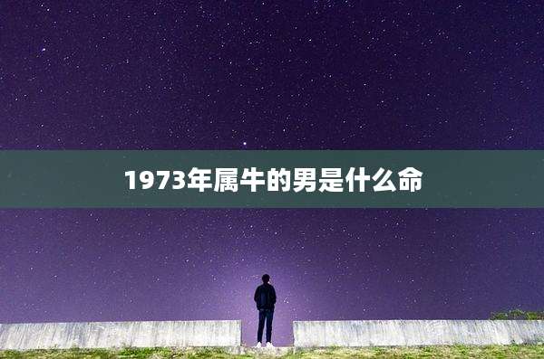 1973年属牛的男是什么命