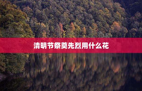 清明节祭奠先烈用什么花