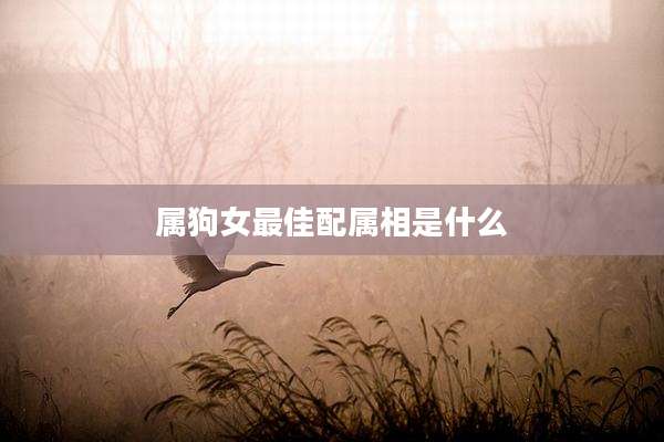 属狗女最佳配属相是什么
