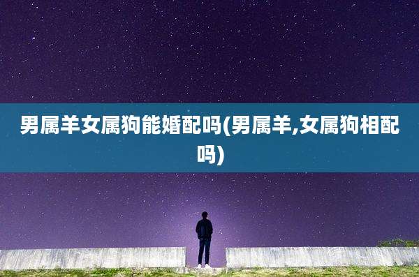 男属羊女属狗能婚配吗(男属羊,女属狗相配吗)
