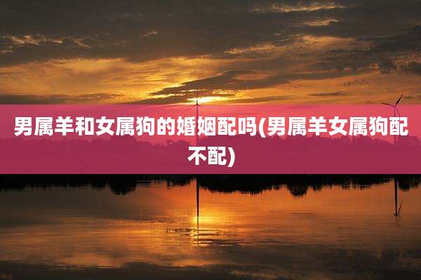男属羊和女属狗的婚姻配吗(男属羊女属狗配不配)