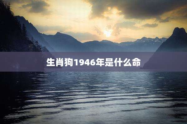 生肖狗1946年是什么命