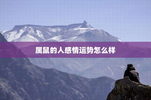 属鼠的人感情运势怎么样