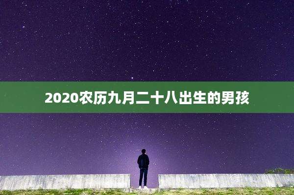 2020农历九月二十八出生的男孩