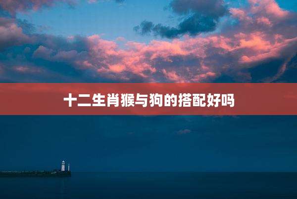 十二生肖猴与狗的搭配好吗