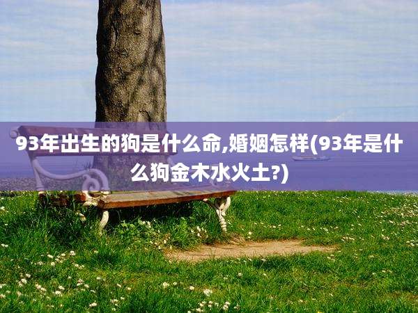 93年出生的狗是什么命,婚姻怎样(93年是什么狗金木水火土?)