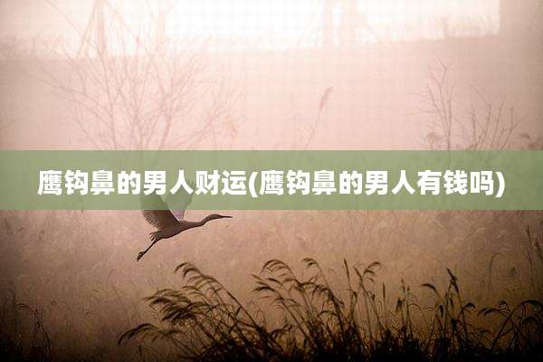 鹰钩鼻的男人财运(鹰钩鼻的男人有钱吗)