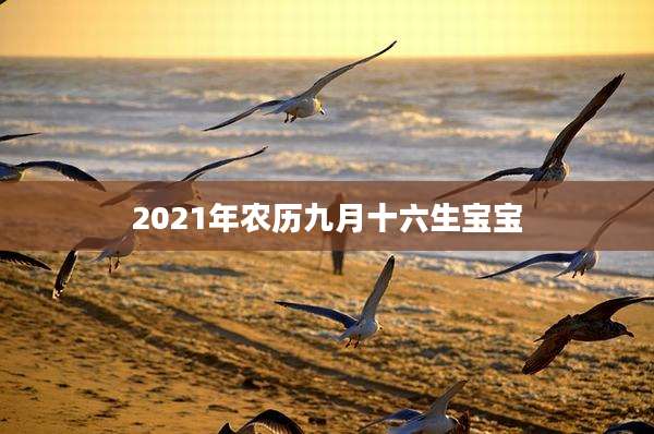 2021年农历九月十六生宝宝