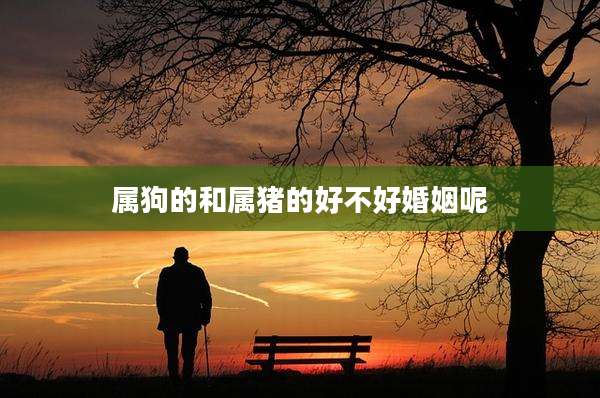 属狗的和属猪的好不好婚姻呢