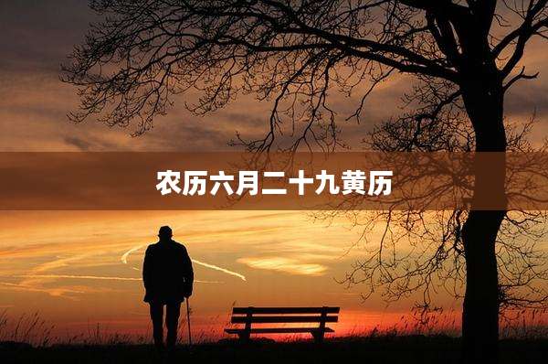 农历六月二十九黄历