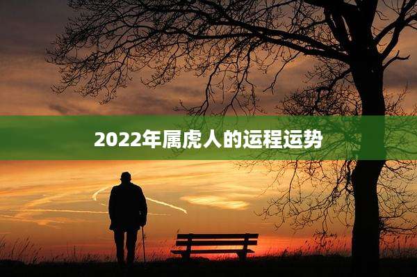 2022年属虎人的运程运势