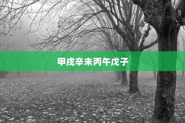 甲戌辛未丙午戊子