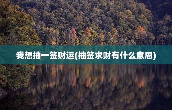 我想抽一签财运(抽签求财有什么意思)