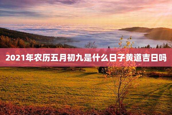 2021年农历五月初九是什么日子黄道吉日吗
