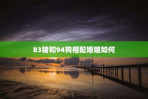 83猪和94狗相配婚姻如何