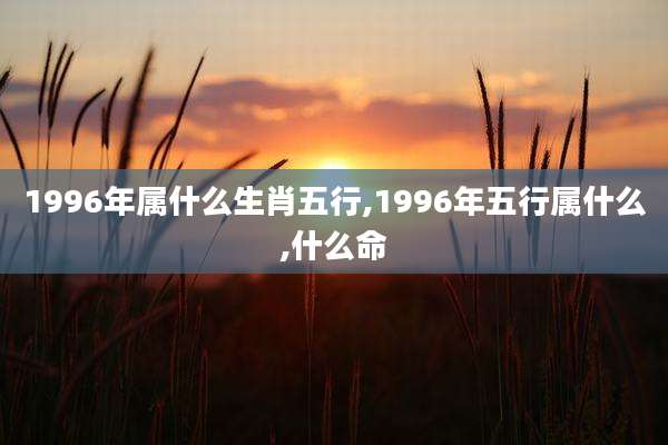 1996年属什么生肖五行,1996年五行属什么,什么命