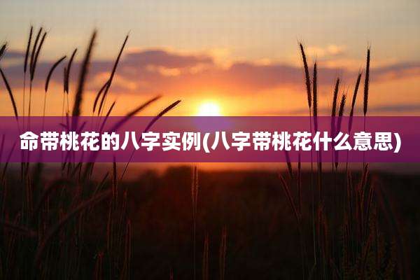 命带桃花的八字实例(八字带桃花什么意思)
