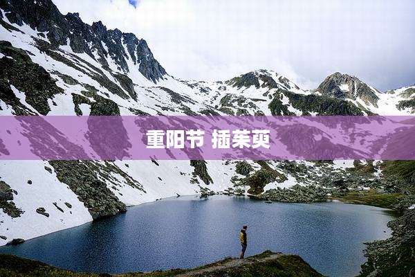 重阳节 插茱萸