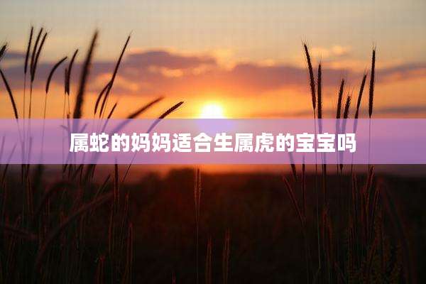属蛇的妈妈适合生属虎的宝宝吗