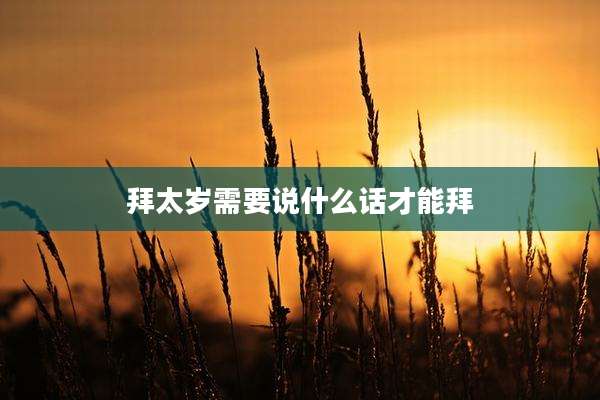 拜太岁需要说什么话才能拜