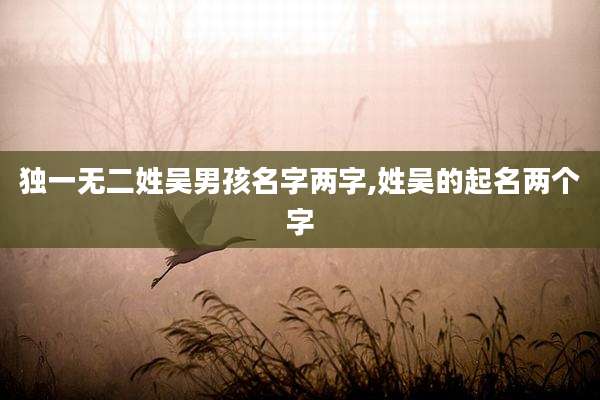 独一无二姓吴男孩名字两字,姓吴的起名两个字