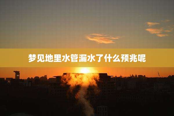 梦见地里水管漏水了什么预兆呢