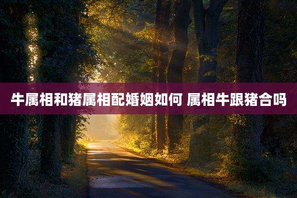 牛属相和猪属相配婚姻如何 属相牛跟猪合吗