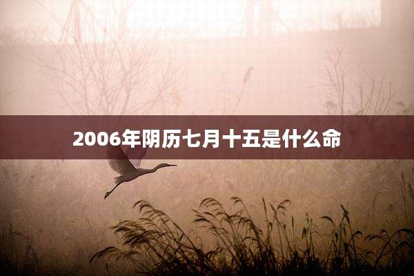 2006年阴历七月十五是什么命