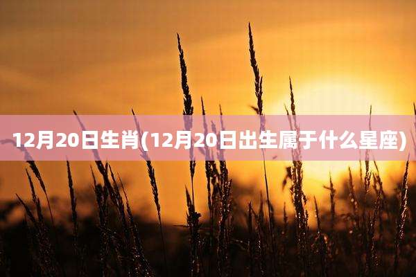 12月20日生肖(12月20日出生属于什么星座)