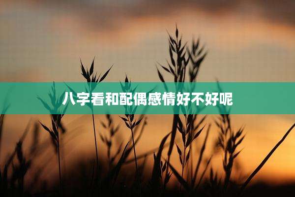 八字看和配偶感情好不好呢