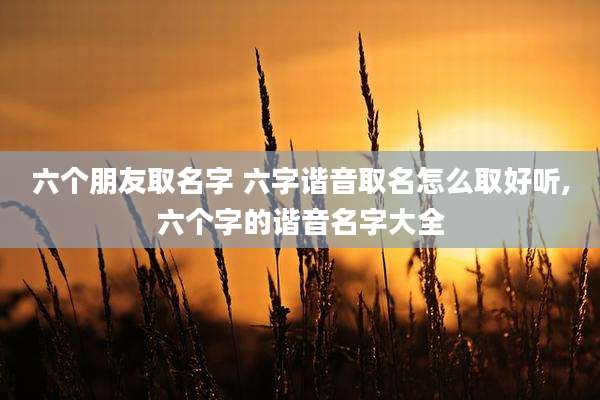 六个朋友取名字 六字谐音取名怎么取好听,六个字的谐音名字大全