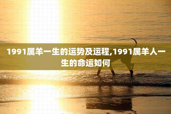 1991属羊一生的运势及运程,1991属羊人一生的命运如何