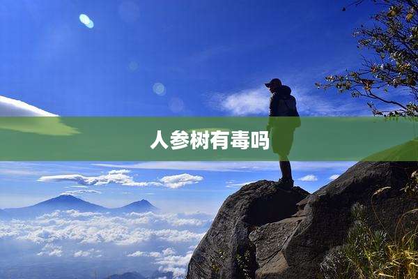 人参树有毒吗