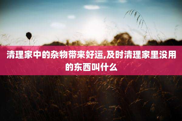 清理家中的杂物带来好运,及时清理家里没用的东西叫什么