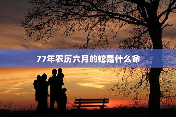 77年农历六月的蛇是什么命