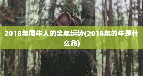 2018年属牛人的全年运势(2018年的牛是什么命)