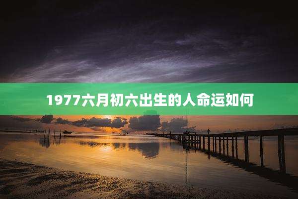 1977六月初六出生的人命运如何