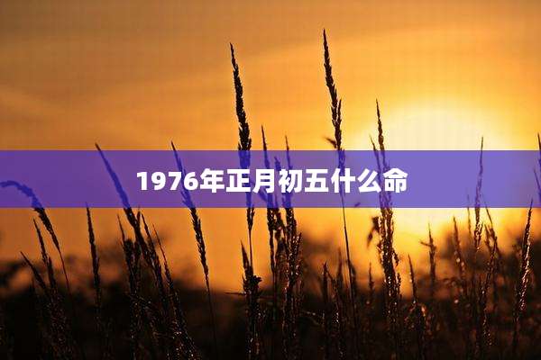 1976年正月初五什么命